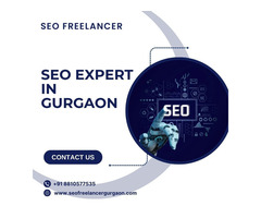 Grow Your Business Organically with an SEO Expert in Gurgaon