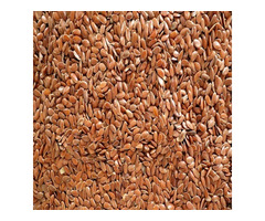 Negozio di forniture di semi di lino