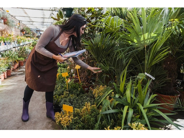 Nursery Inventory Management System