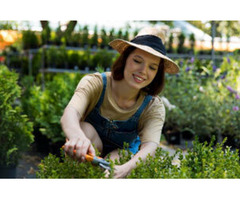 Cheap Grass Cutting Service Near Me -I love gardening