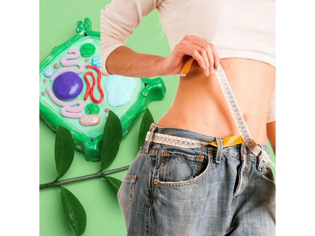 The “Odd” Yet Easy Method I Used To Drop 25+ lbs!