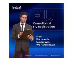 Expert FIU Consultant - Registration Made Simple