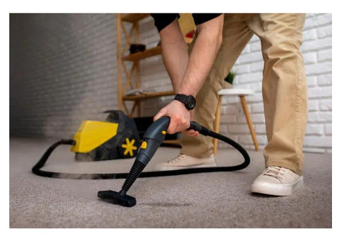 Need Professional Carpet Cleaning in Adelaide? We’ve Got You Covered!