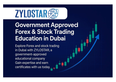 Best Trading Courses in UAE for Beginners and Professionals