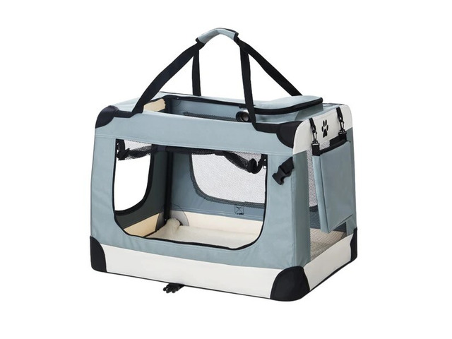 Smart Pet Care Products for Hassle-Free Routines