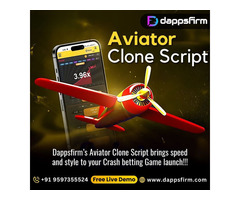 Build the Next Big Crash Game Brand with Aviator Clone Software