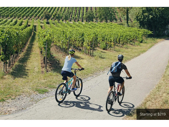 Wine County Bicycle Tours