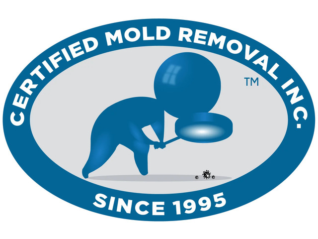 Mold Inspection Delaware County PA: Safeguarding Indoor Spaces