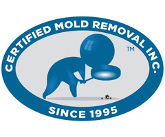 Mold Inspection Delaware County PA: Safeguarding Indoor Spaces