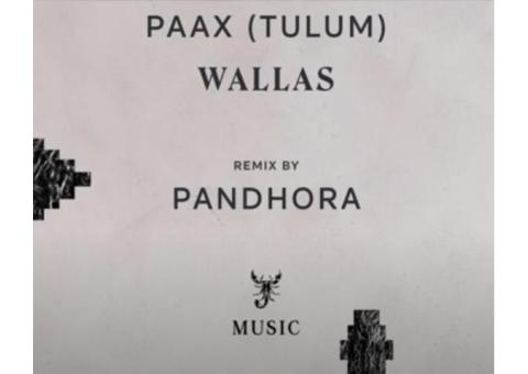 Wallas (Pandhora Remix) | Scorpios Music