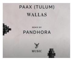 Wallas (Pandhora Remix) | Scorpios Music