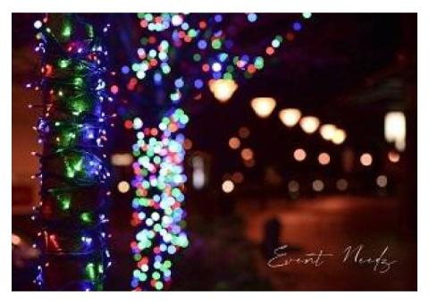 Decorative Lights | Event Needz