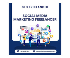 Expert Social Media Marketing Freelancer to Grow Your Brand Online