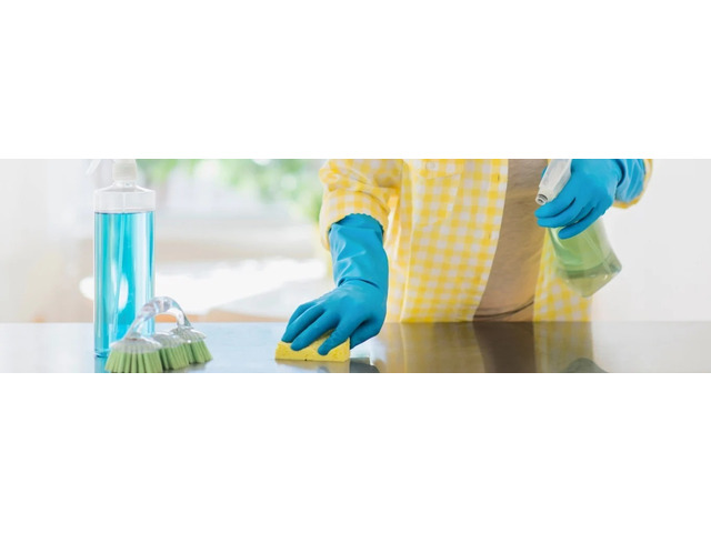 Deep Clean Power: Why Steam Is a Game-Changer