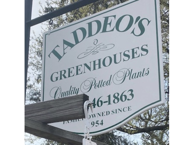 Mainline’s Destination for Gardening Creativity