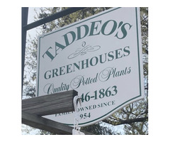 Mainline’s Destination for Gardening Creativity