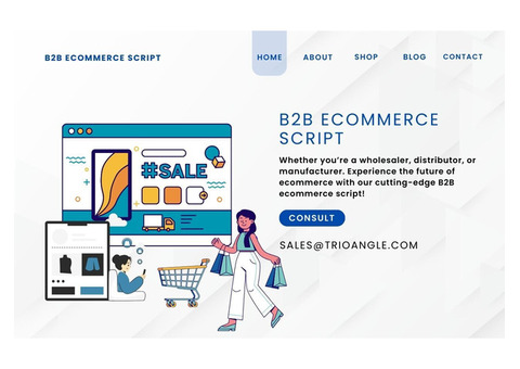 Power Your Online B2B Marketplace with B2B eCommerce Script!