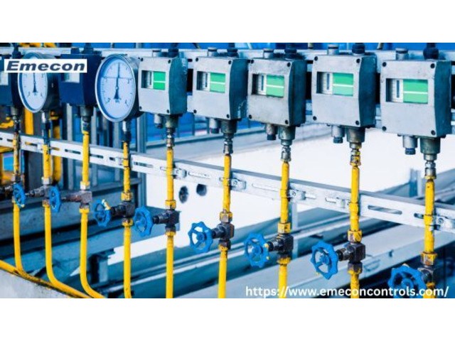 Advanced Solutions for Sustainable Energy with Bio Gas Instrumentation