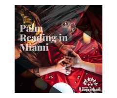 Palm Reading in Miami – Accurate Life & Love Predictions