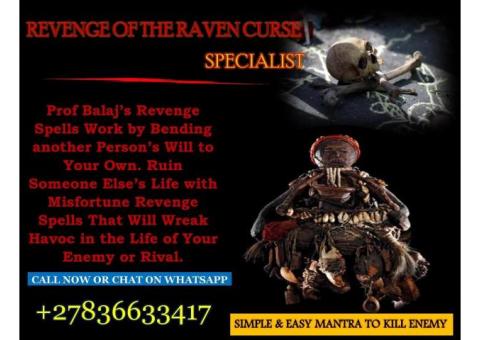 I Need a Revenge Spell: Revenge of the Raven Curse