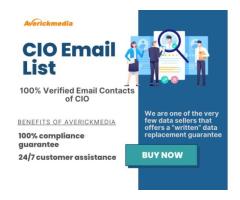 Get 100% permission-passed CIO Email List