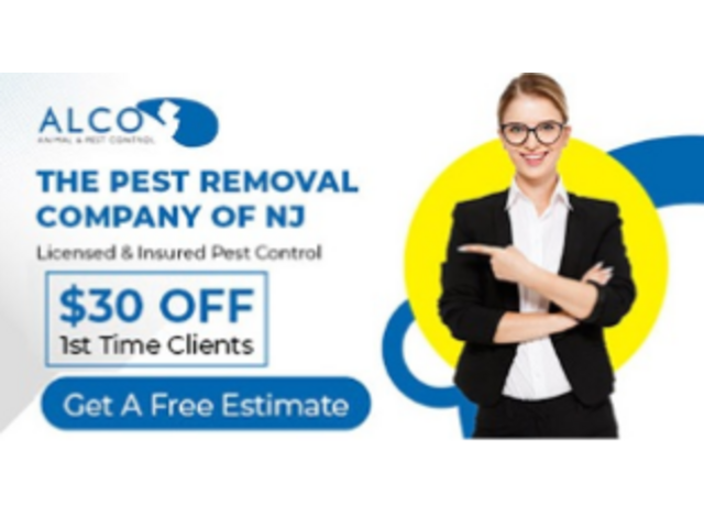 Professional Wildlife Removal in Jersey City, NJ