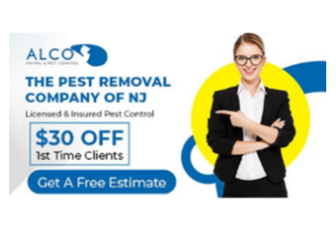 Professional Wildlife Removal in Jersey City, NJ