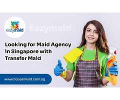 Looking for Maid Agency Singapore with Transfer Maid