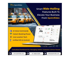 Will Your Taxi Business Stay Competitive in 2025?