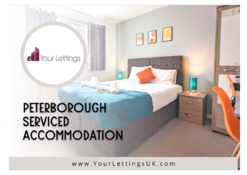 Stay In Peterborough: Short Term Rentals On Airbnb