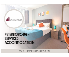 Stay In Peterborough: Short Term Rentals On Airbnb