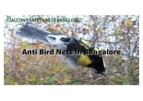 Anti Bird Nets in Bangalore