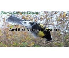 Anti Bird Nets in Bangalore