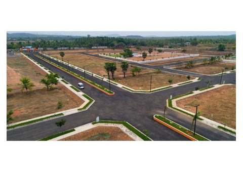 Looking for plots in Jewar under 11 lakh?