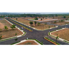Looking for plots in Jewar under 11 lakh?