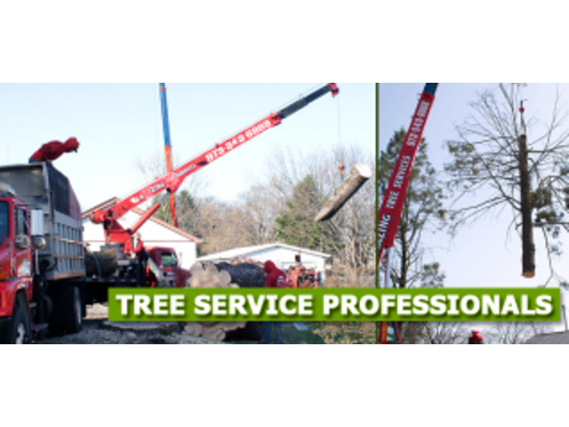 Tree Removal Cost MORRIS County, NJ
