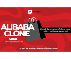 Launch Your Own Global B2B Marketplace with an Alibaba Clone