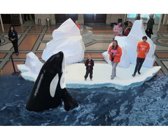 Leading Augmented Reality Company in Dubai – Mind Spirit Design