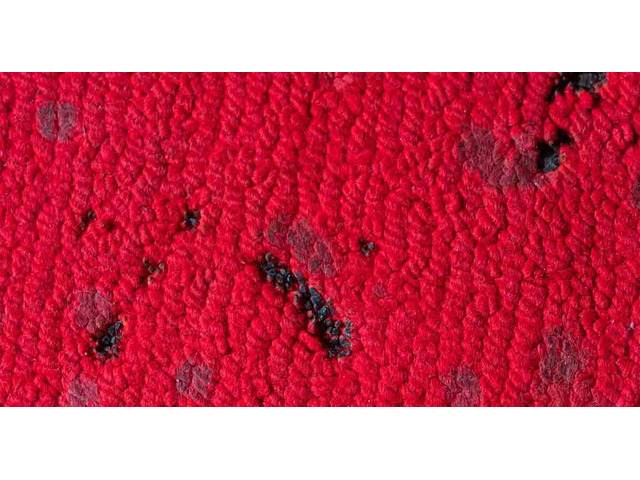 Expert Carpet Repairs – Burn Marks,Damage Restoration