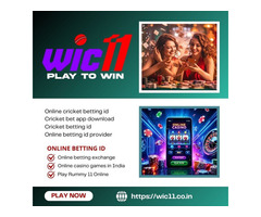 Best Twenty 20 Betting ID Provider in India – Wic11 Official