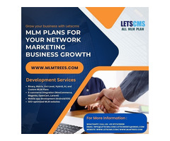 MLM Plans for Your Network Marketing Business Growth