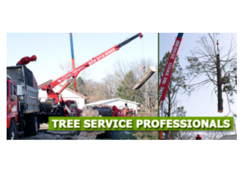 Tree Care in Totowa, NJ – Amazing Tree Services