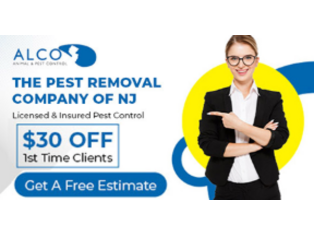 Professional Bird Control in Jersey City, NJ