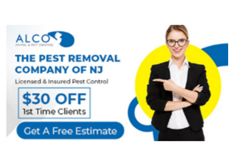 Professional Bird Control in Jersey City, NJ