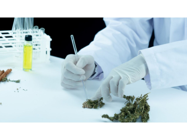 Buy Organic Kratom Online – Premium Quality at Affordable Prices