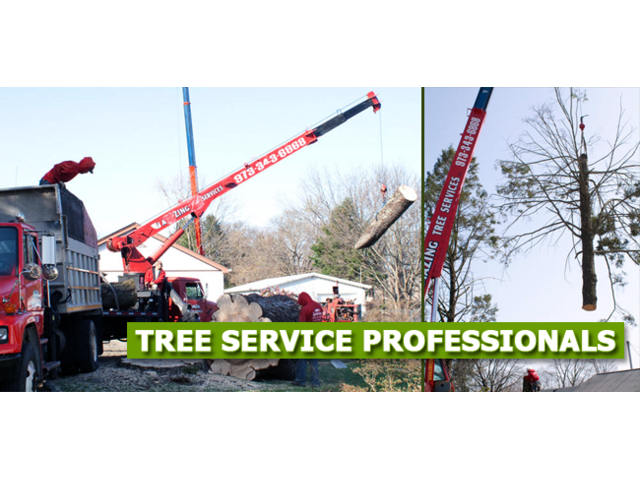 Expert Tree Service Green Village, NJ
