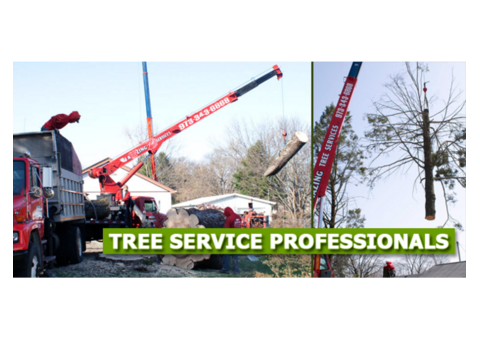 Expert Tree Service Green Village, NJ