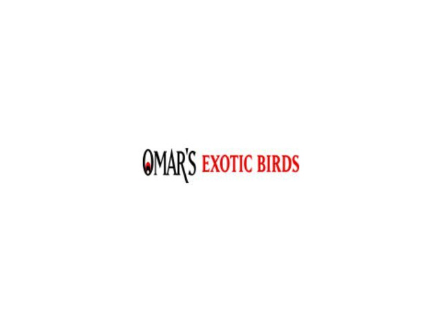 Omar's Exotic Birds