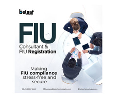 FIU Registration Made Simple: Expert Guidance from FIU Consultants