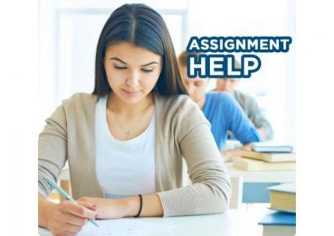 How to Get a Tutor for your Assignments